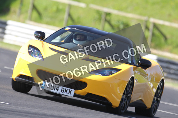 Lotus 0425