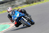 Fowlers 0691