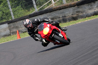 Fowlers 0775