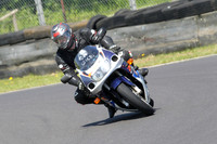 Fowlers 0996