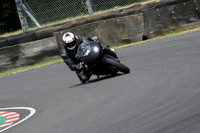Fowlers 0988