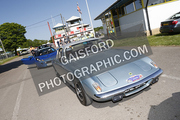 Lotus 2561