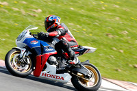 Fowlers 1225
