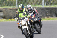 Fowlers 0781