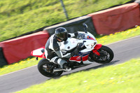 Fowlers 0994