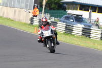 Fowlers 0036