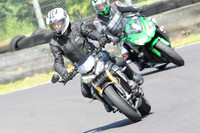 Fowlers 0766