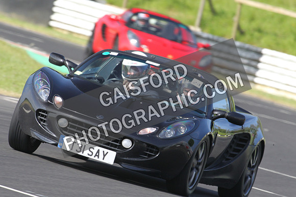 Lotus 0099