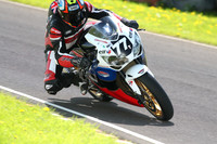 Fowlers 0951