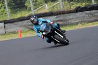 Fowlers 0921