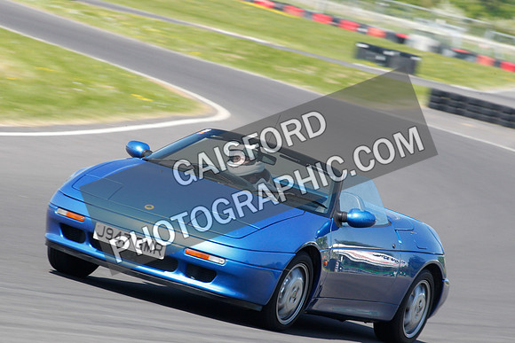 Lotus 2379