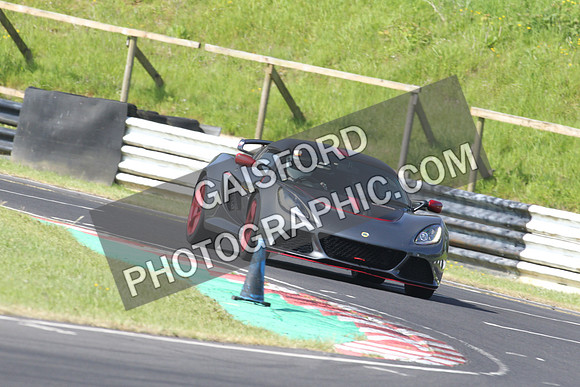 Lotus 0253