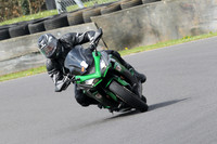 Fowlers 1481