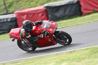 Fowlers 0563
