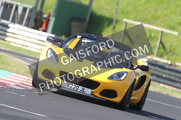 Lotus 0287
