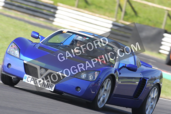 Lotus 0175