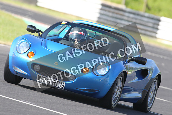Lotus 0376