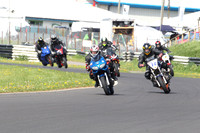 Fowlers 0266