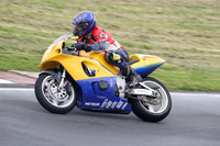 Fowlers 0773