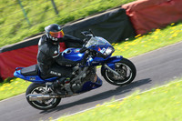 Fowlers 0965