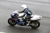 Fowlers 0666