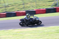 Fowlers 0370