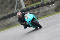 Fowlers 0453