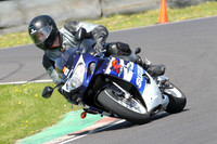 Fowlers 0979