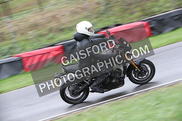 BIKES 0231