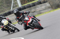 Fowlers 1091