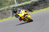 Fowlers 0786