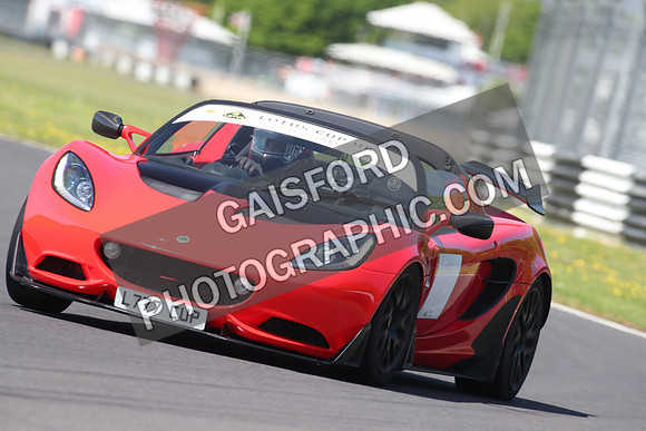 Lotus 0687