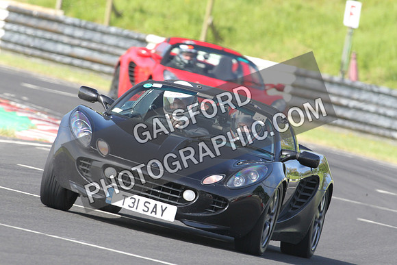 Lotus 0087