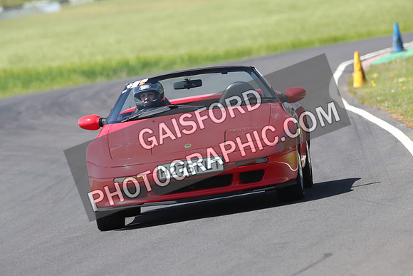 Lotus 0791