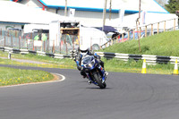 Fowlers 0262