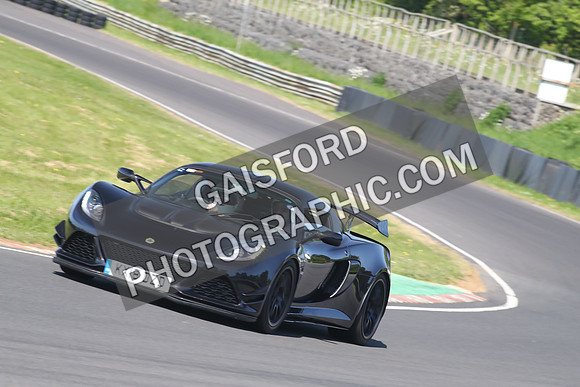 Lotus 2462