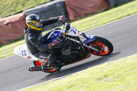 Fowlers 0901