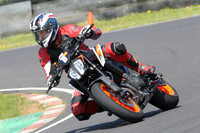 Fowlers 0736