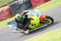 Fowlers 0689