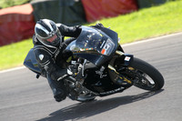 Fowlers 1399