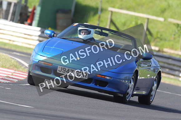 Lotus 0183
