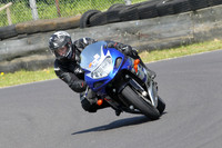 Fowlers 0699