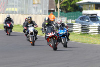 Fowlers 0249