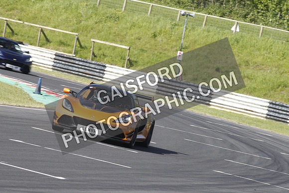 Lotus 0137