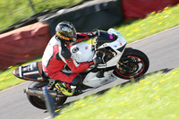 Fowlers 0883