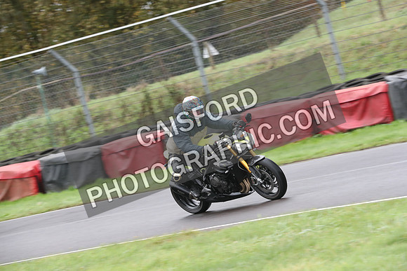 BIKES 0233