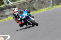 Fowlers 0690