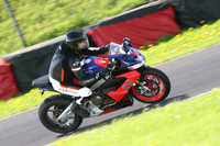 Fowlers 0997