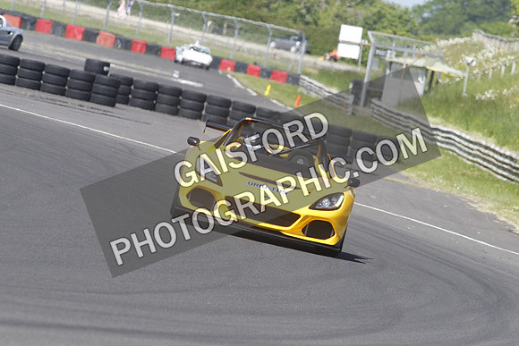 Lotus 2491