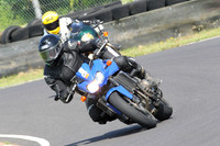 Fowlers 0418